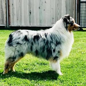 Meet your Posher, Patricia